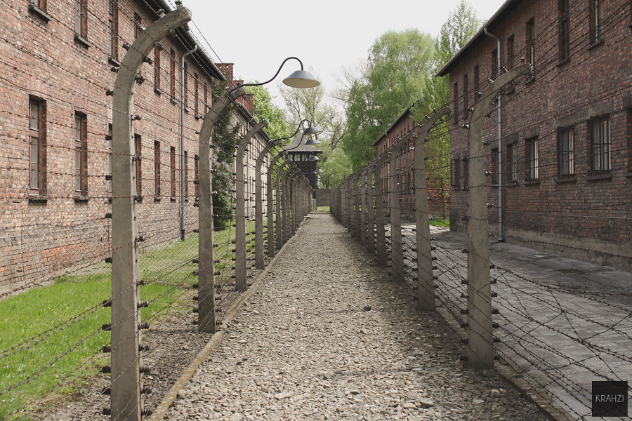 Auschwitz, le devoir de mémoire