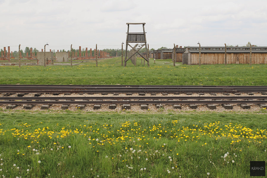 Auschwitz-2015-14.jpg