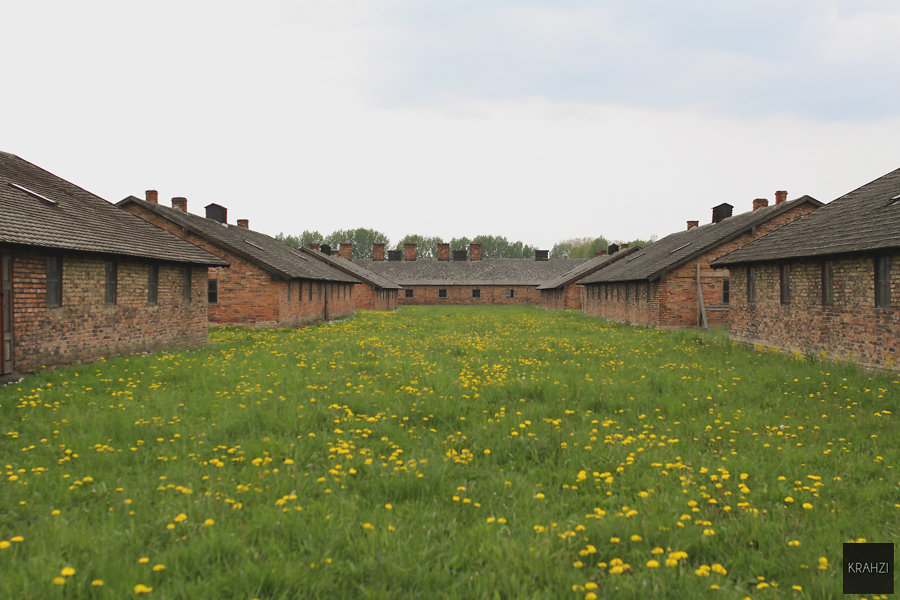 Auschwitz-2015-25.jpg