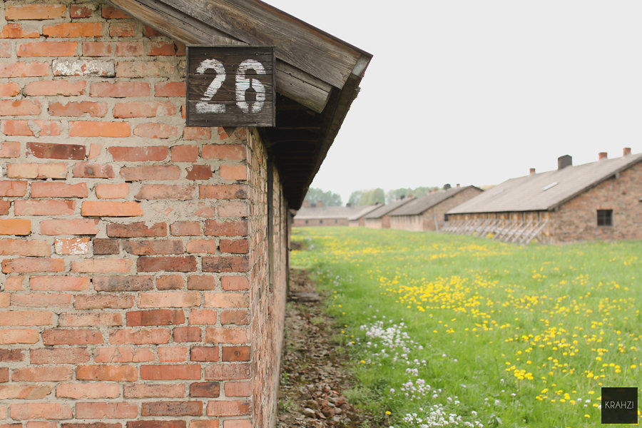 Auschwitz-2015-28.jpg